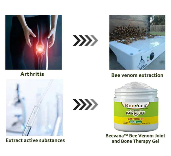 BeeTherapy™ #1 Bee Venom Pain Relief Cream | Buy 1 Get 4🔥